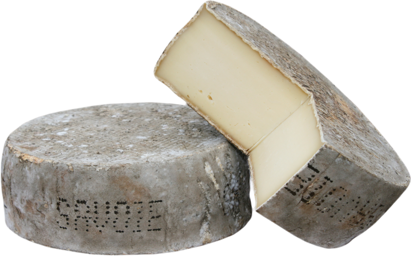 Käse Tomme de Savoie fermier AOP güstig online bestellen und kaufen Online Käse kaufen Tomme de Savoie fermier AOP jetzt bestellen