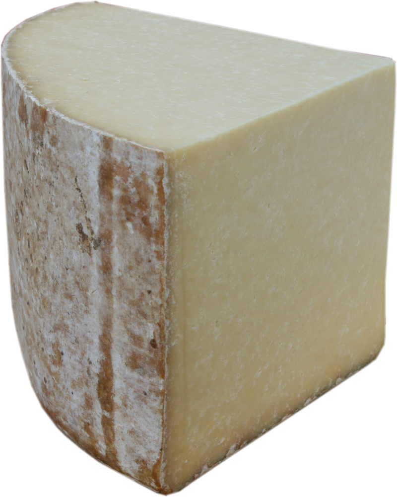 Käse Cantal 100% Lait Salers AOP güstig online bestellen und kaufen Online Käse kaufen Cantal 100% Lait Salers AOP jetzt bestellen