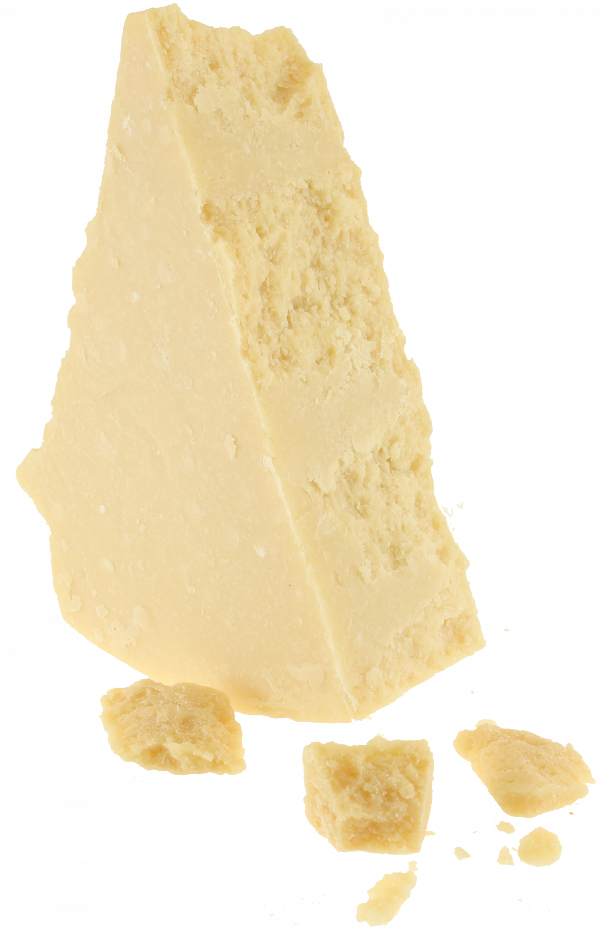 Parmesan Filet